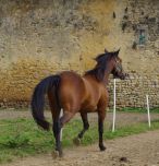 Secret à quelques jours